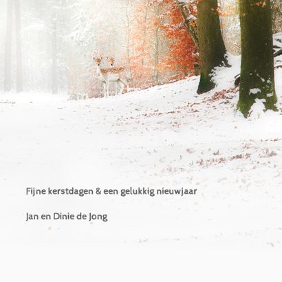 Verhuiskaart met kerstwens 3