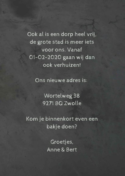 Verhuiskaart met wereldbol en huizen 3