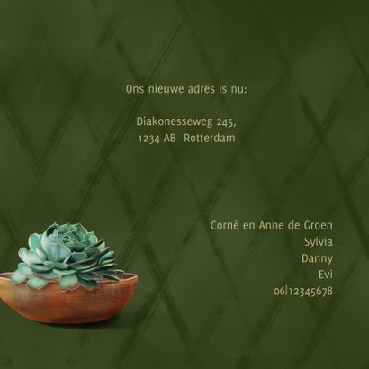 Verhuiskaart new home cactussen en succulent 3