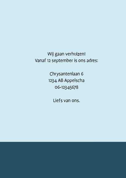 Verhuiskaart vogels in huisje 3