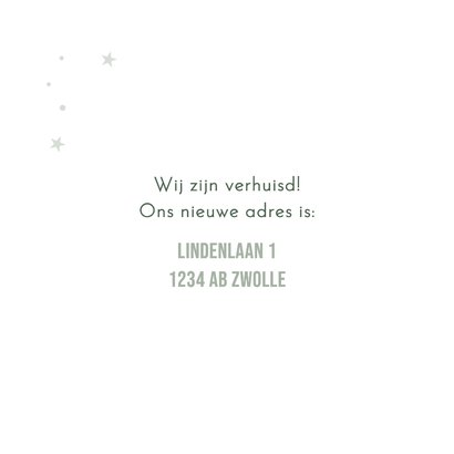 Verhuiskaart winterdorpje 'New Home' 2