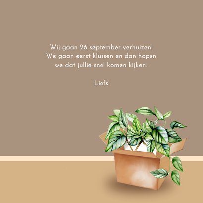 Verhuizen hangstoel bamboe 3