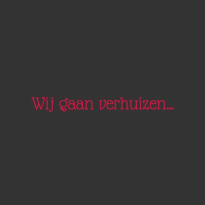 Verhuizen naar Zwolle - DH 2