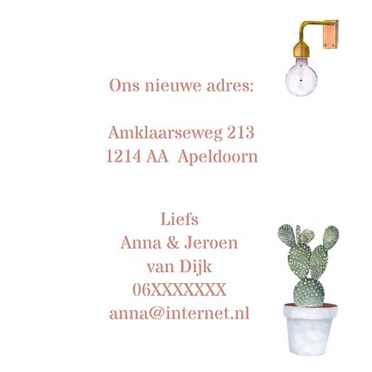 Verhuizen trendy meubels 3