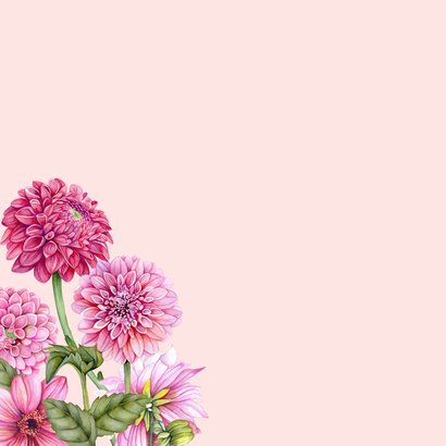 Verjaardag dahlia bloemen 2