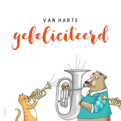 Verjaardag - dierenorkest speelt voor de jarige 2