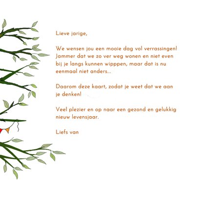 Verjaardag - Eekhoorntjes vieren verjaardag 3