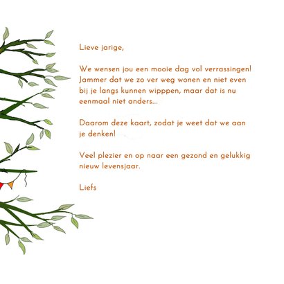 Verjaardag - Eekhoorntjes vieren verjaardag 3