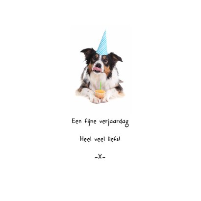 Verjaardag - Er is er één jarig hoera - Hond met foto 3