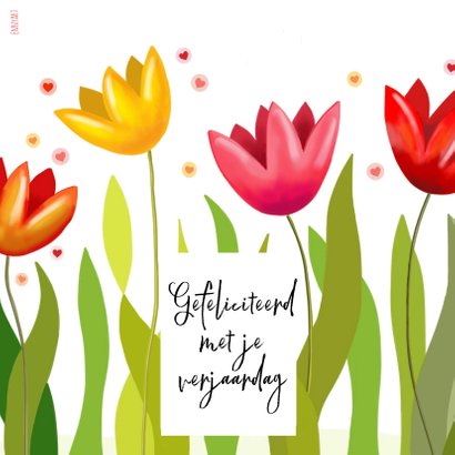 Verjaardag - Fantasie tulpen met feestbeestje 2