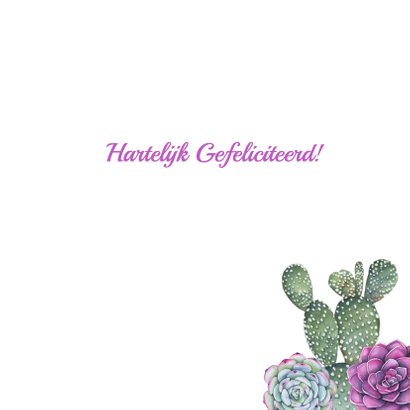 Verjaardag foto vetplanten 3