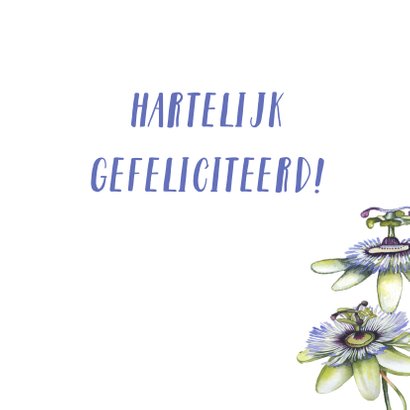 Verjaardag hummingbird tropisch 3