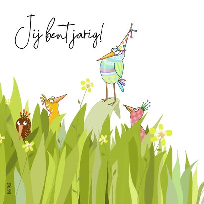 Verjaardag - Jarige vogel 2