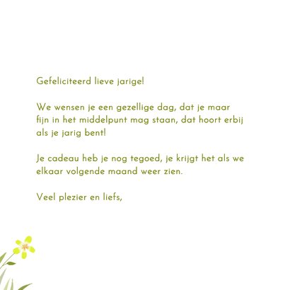 Verjaardag - Jarige vogel 3