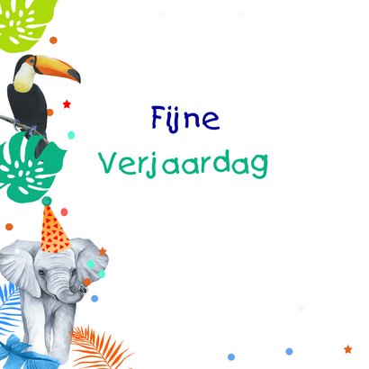 Verjaardag jongetjes wilde dieren 2