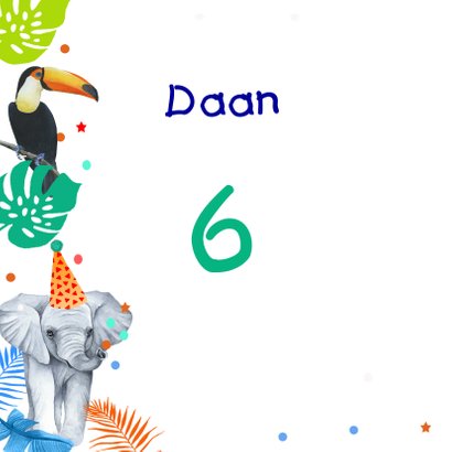 Verjaardag jongetjes wilde dieren 2