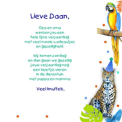 Verjaardag jongetjes wilde dieren 3