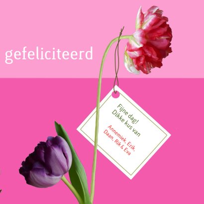 Verjaardag - kat met kleurige tulpen 3