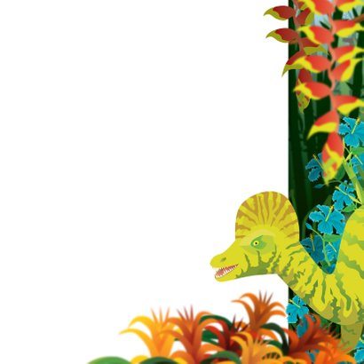 Verjaardag kinderkaart dinosaurus jongenskaart 3