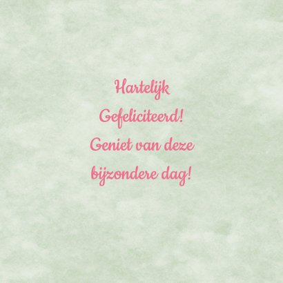 Verjaardag leeftijd hortensia 3