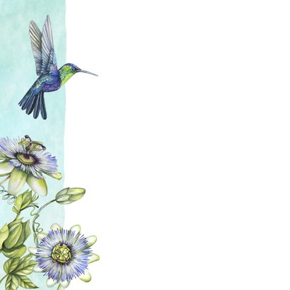 Verjaardag passiebloem hummingbird 2