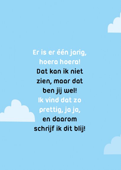 Verjaardag Schildpadjes 3