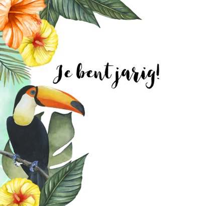 Verjaardag tropisch vogels 2