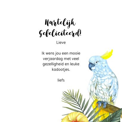 Verjaardag tropisch vogels 3