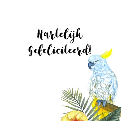 Verjaardag tropisch vogels 3