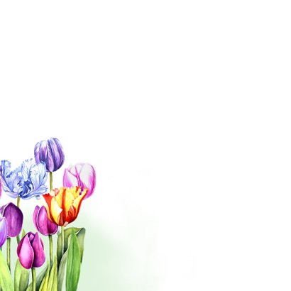 Verjaardag tulpen gekleurd 2