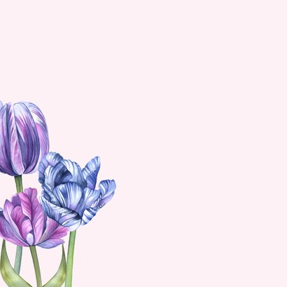Verjaardag tulpen paars en blauw 2