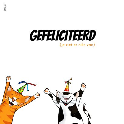 Verjaardag - twee katten op een muurtje 2