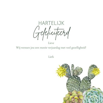 Verjaardag vetplant cactus groen 3