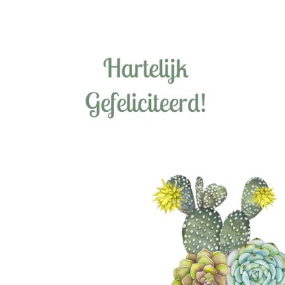 Verjaardag vetplant cactus groen 3