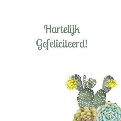 Verjaardag vetplant cactus groen 3