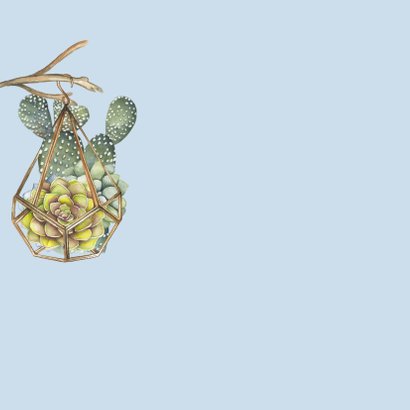 verjaardag vetplant cactus 2