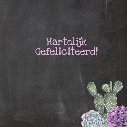 Verjaardag vetplanten cactus 3