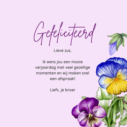 Verjaardag viooltjes in het veld 3