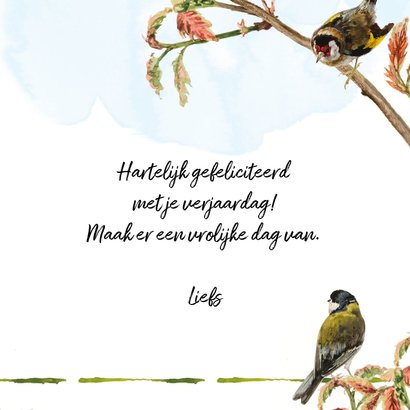 Verjaardag vogels zingen Happy Birthday 3