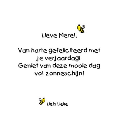 Verjaardag zomer - SV 3