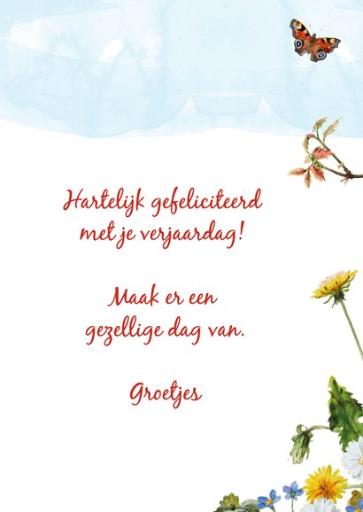 Verjaardagkaart kabouter op schommel 3