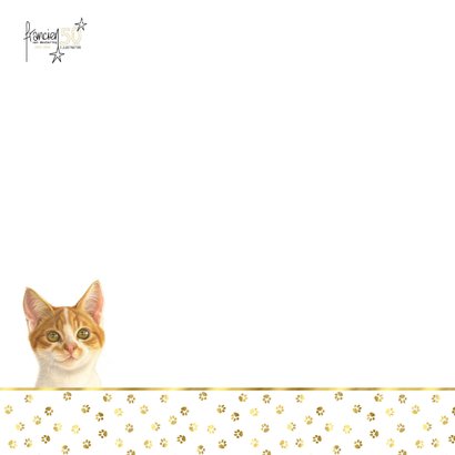 Verjaardagkaart met felicitatie van kitten Rover 2