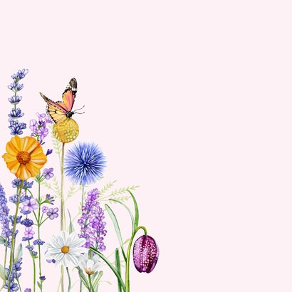 Verjaardagkaart veldbloemen met vlinders 2