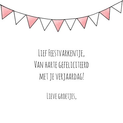 Verjaardagsfelicitatie biggetje - Feestvarkentje!! 3