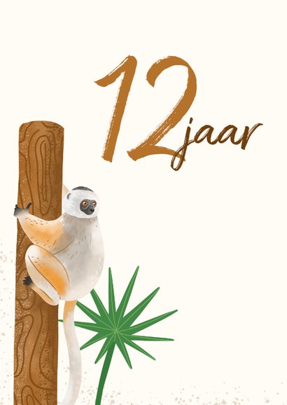 Verjaardagskaart 12 jaar met apen 2