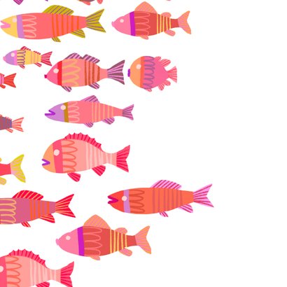 Verjaardagskaart birthday fishes kleurrijk vierkant 2