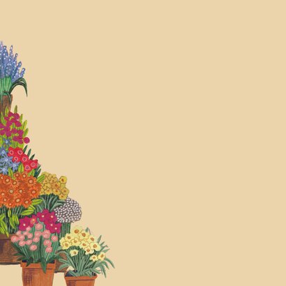 Verjaardagskaart bloemen kat en mediterrane bloemenwinkel 2