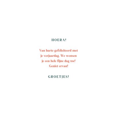 Verjaardagskaart cheers typografisch 3