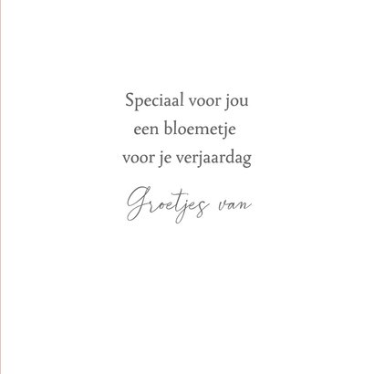 Verjaardagskaart - Delfts blauwe vaas met bloemen 3