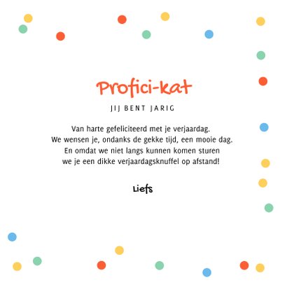 Verjaardagskaart feestelijk katten confetti proficikat 3